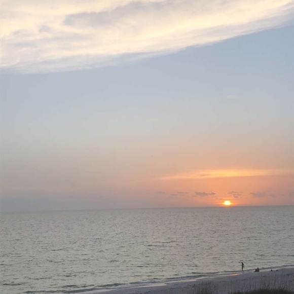 Meet your Posher, Charlie - Picture 1 of 1